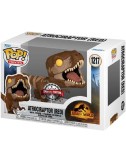 Funko POP Jurassic World Atrociraptor (Red) (1217) Exclusive