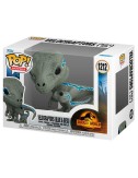 Funko POP Jurassic World 3 Velociraptors Blue & Beta (1212)