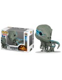 Funko POP Jurassic World 3 Velociraptors Blue & Beta (1212)