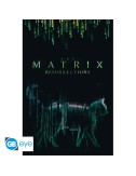 The Matrix - Poster Maxi (91.5x61cm) - Cat