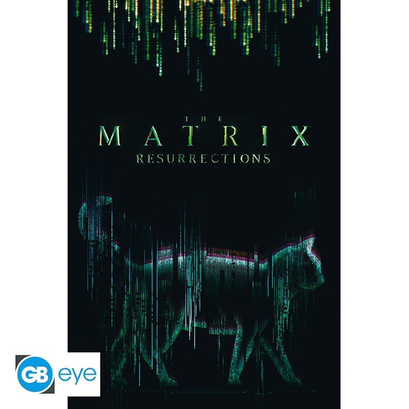 The Matrix - Poster Maxi (91.5x61cm) - Cat