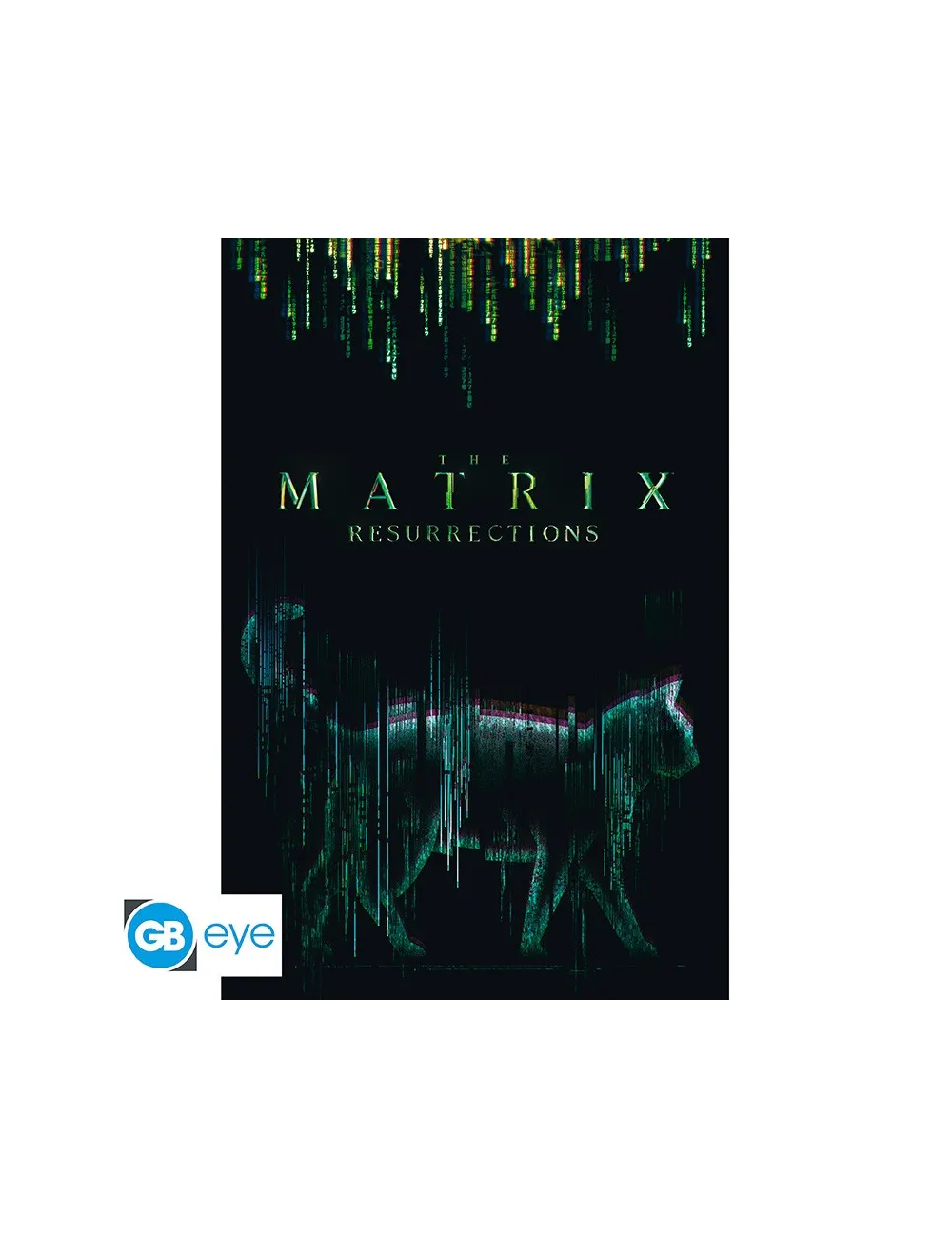 The Matrix - Poster Maxi (91.5x61cm) - Cat | Collectibles Ninja