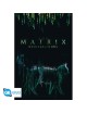 The Matrix - Poster Maxi (91.5x61cm) - Cat | Collectibles Ninja