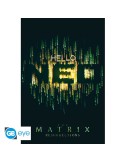 The Matrix - Poster Maxi (91.5x61cm) - Hello Neo