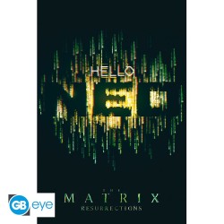 The Matrix - Poster Maxi (91.5x61cm) - Hello Neo