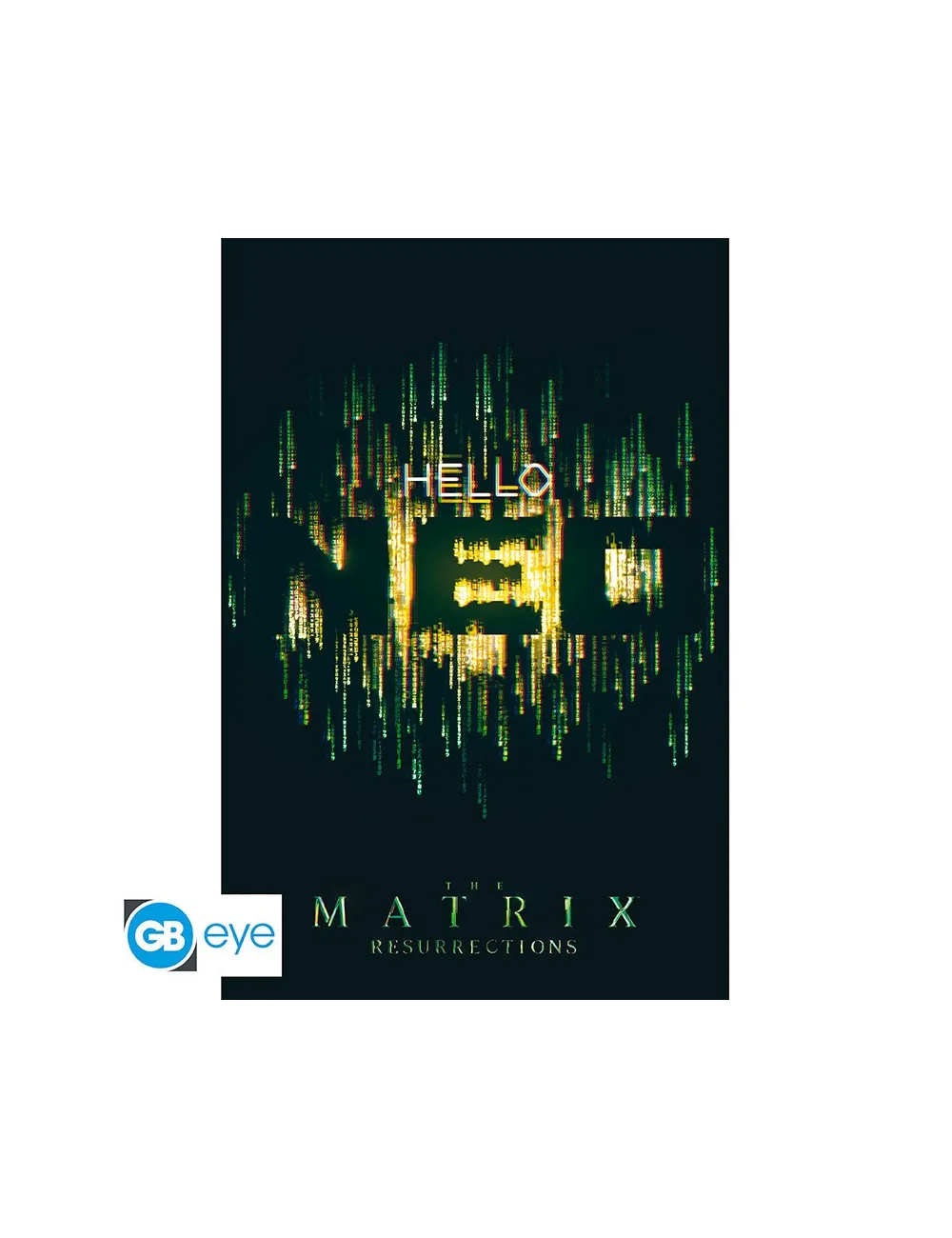 The Matrix - Poster Maxi (91.5x61cm) - Hello Neo | Collectibles Ninja