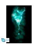 Harry Potter - Poster Maxi (91.5x61cm) - Patronus Stag