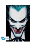 DC COMICS - Poster Maxi (91.5x61cm) - Joker Ross