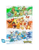 Pokemon - Poster Maxi (91.5x61cm) - First Partners