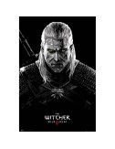 The Witcher - Poster Maxi (91.5x61cm) - Toxicity Poisoning