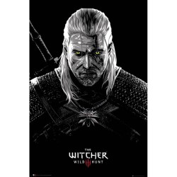 The Witcher - Poster Maxi (91.5x61cm) - Toxicity Poisoning