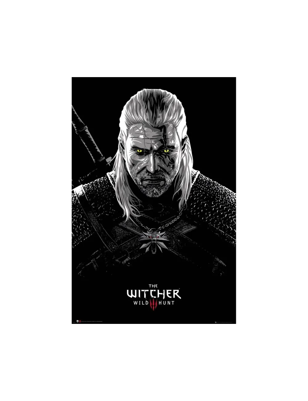 The Witcher - Poster Maxi (91.5x61cm)… | Collectibles Ninja