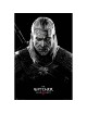 The Witcher - Poster Maxi (91.5x61cm)… | Collectibles Ninja