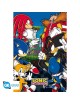 Sonic - Poster Maxi (91.5x61cm) - Group | Collectibles Ninja