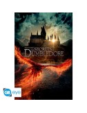 Fantastic Beasts - Poster Maxi (91.5x61cm) - Movie Poster