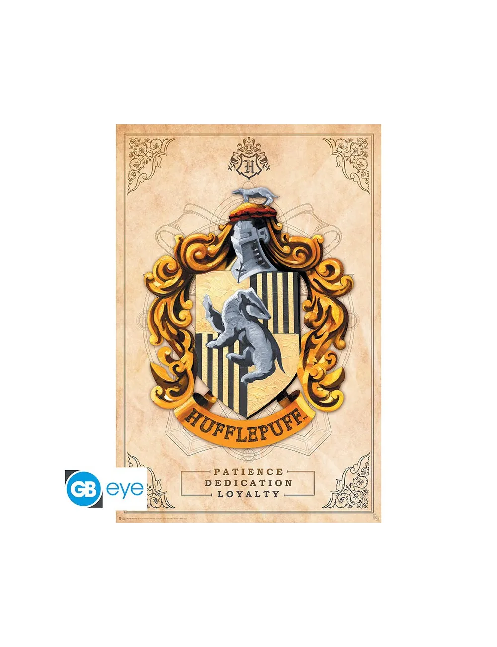 Harry Potter - Poster Maxi (91.5x61cm)… | Collectibles Ninja