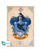 Harry Potter - Poster Maxi (91.5x61cm)… | Collectibles Ninja