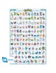 Pokemon - Poster Maxi (91.5x61cm) - Hoenn… | Collectibles Ninja