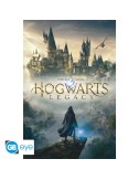 Harry Potter - Poster Maxi (91.5x61cm) - Hogwarts Legacy Key Art