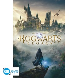 Harry Potter - Poster Maxi (91.5x61cm) - Hogwarts Legacy Key Art