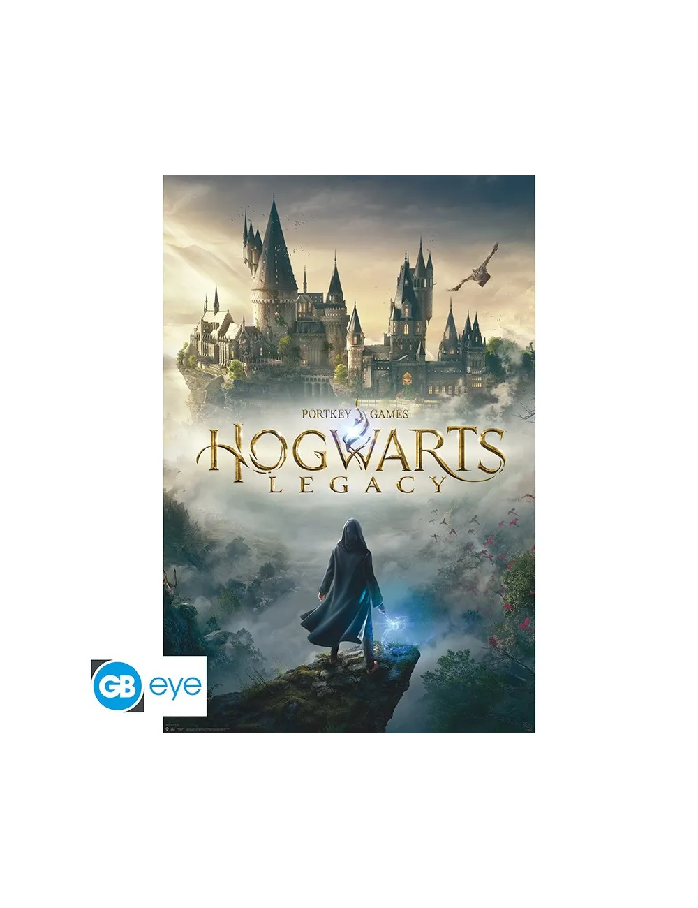 Harry Potter - Poster Maxi (91.5x61cm)… | Collectibles Ninja