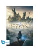 Harry Potter - Poster Maxi (91.5x61cm)… | Collectibles Ninja