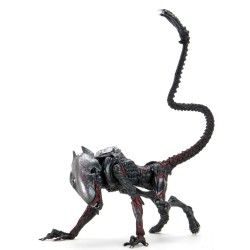 Aliens - Tribute Night Cougar Alien figure 23cm