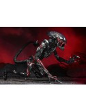 Aliens - Tribute Night Cougar Alien figure 23cm