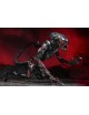 Aliens - Tribute Night Cougar Alien figure 23cm | Collectibles Ninja