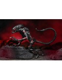 Aliens - Tribute Night Cougar Alien figure 23cm
