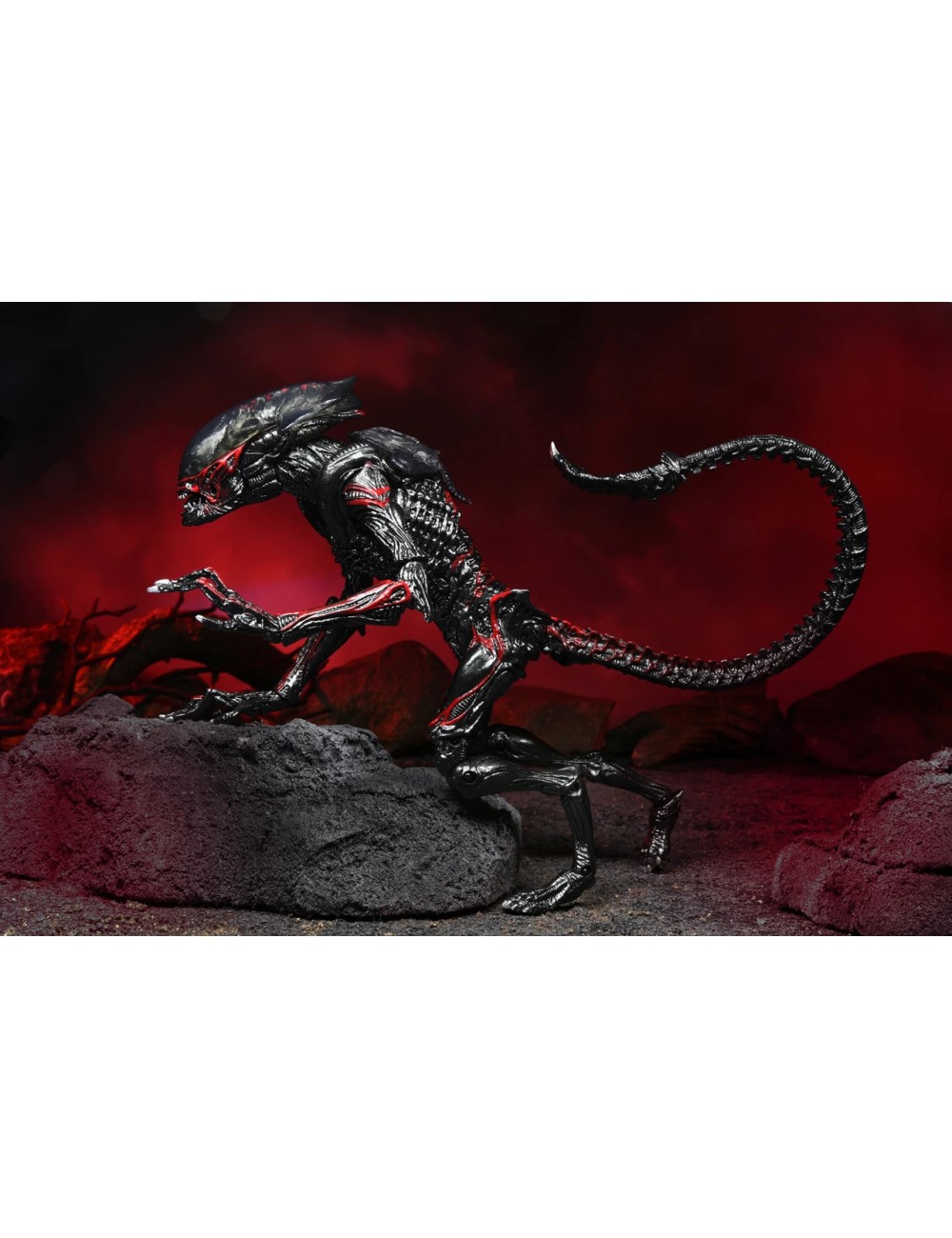 Aliens - Tribute Night Cougar Alien figure 23cm