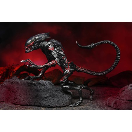 Aliens - Tribute Night Cougar Alien figure 23cm