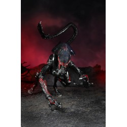 Aliens - Tribute Night Cougar Alien figure 23cm