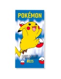 Pokemon Mikrofaser Strandtuch