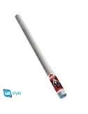 DC Suicide Squad - Poster Maxi (91.5x61cm) - Harley Quinn