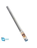 Harry Potter - Poster Maxi (91.5x61cm) - Gryffindor Emblem