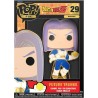 Funko POP Pin - Dragon Ball Z - Future Trunks… | Collectibles Ninja